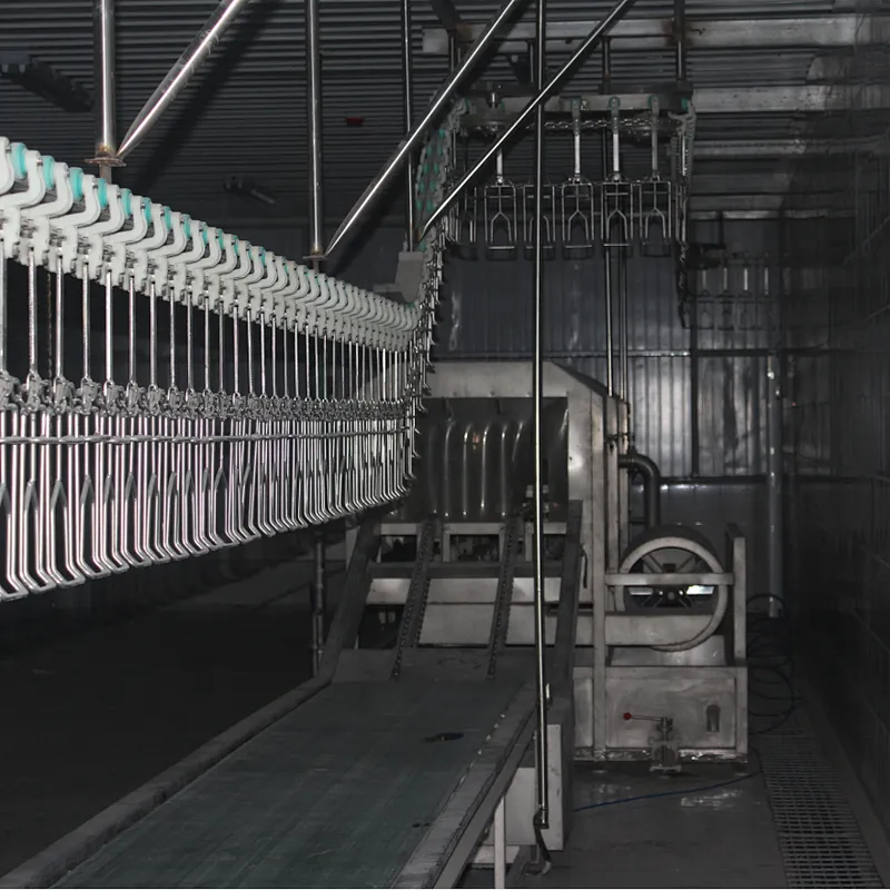 Brand new poultry processing plant crate belt conveyor machinery with low price high depilation used poultry equipment for sale