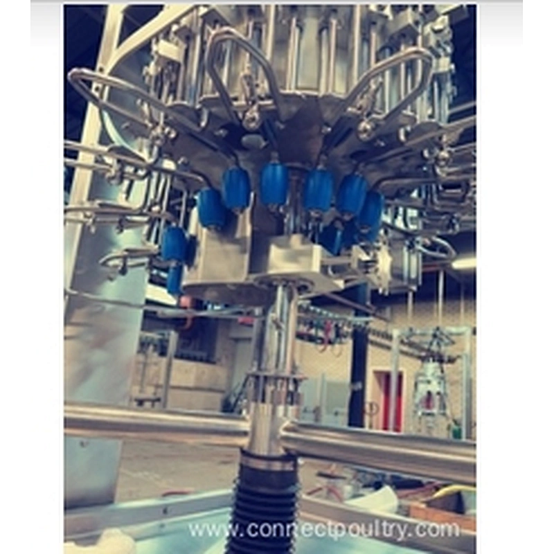 Chicken Auto Evisceration Machine Vent cutter for poultry processing plant slaughering house