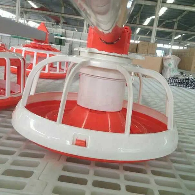 Pan Feeding for Male/ breeder shed