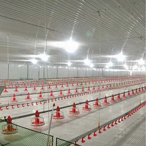 Feeding line and Drinking line for broiler chicken house equipment