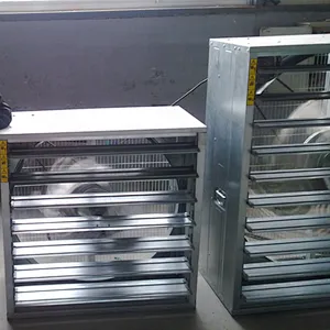 Ventilation Exhaust Fan for chicken farming house equipment