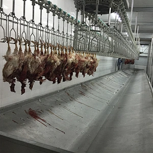 poultry slaughterhouse machine for chicken