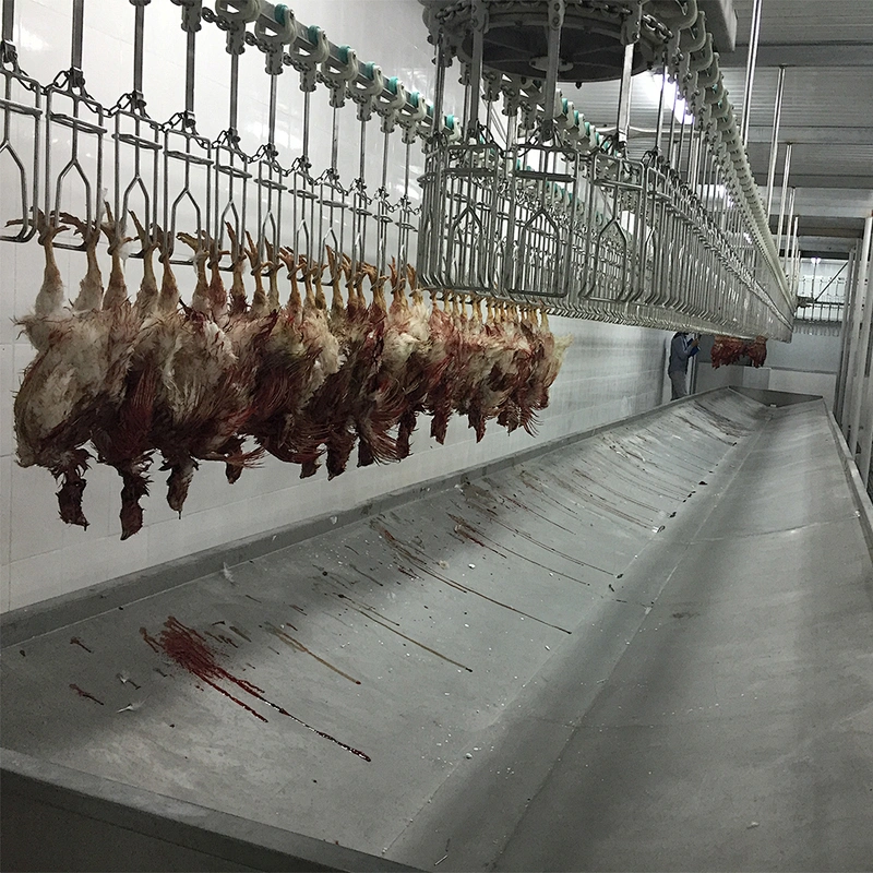 poultry slaughterhouse machine for chicken