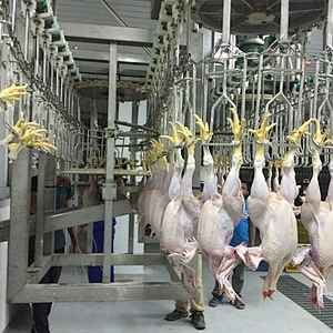 hot sale Full stainless steel 304 industrial food processing plant slaughterhouse feet cutter equipment