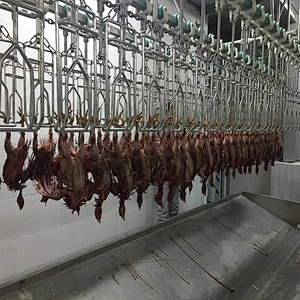 hala poultry slaughtering line