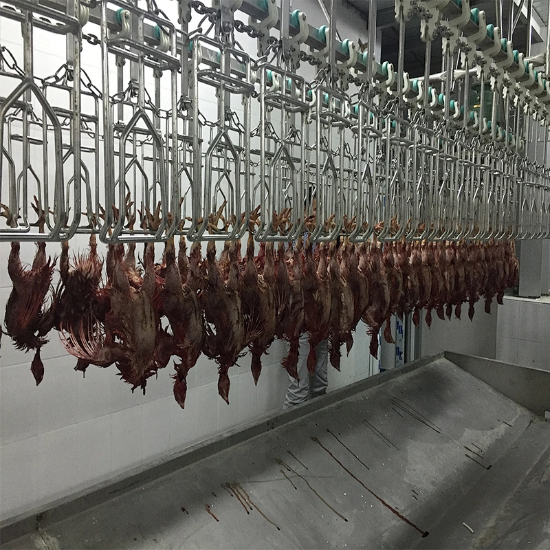 hala poultry slaughtering line