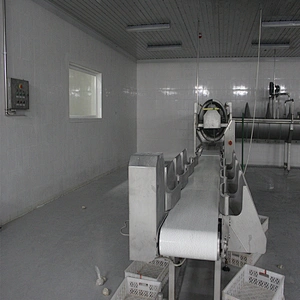 European standard new automatic poultry slaughtering belt weighing and grading machine