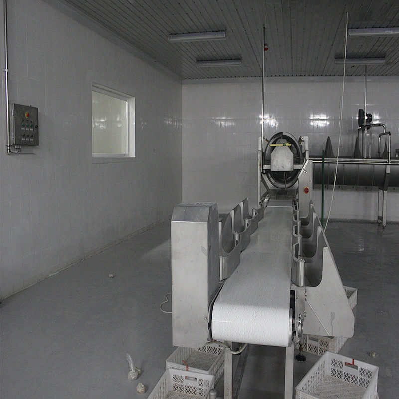 European standard new automatic poultry slaughtering belt weighing and grading machine