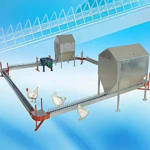 Breeder chain feeding System for poultry farming equipment