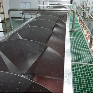Chicken Gizzard de-fatter removed machines Eviscreation Processing  equipment