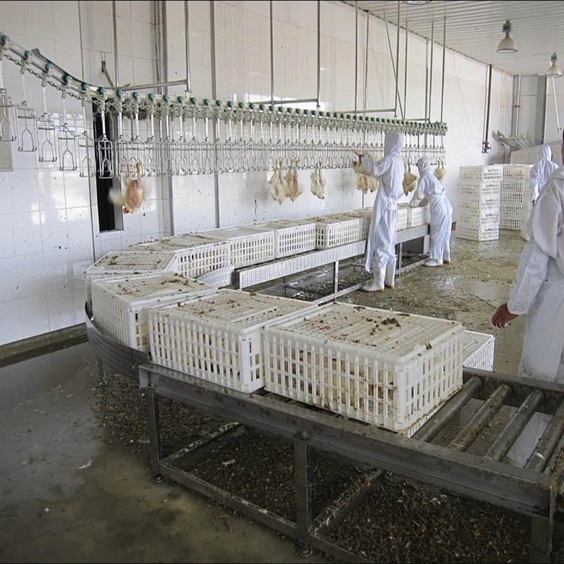 connect poultry equipment