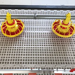 Feeding line and Drinking line for broiler chicken house equipment