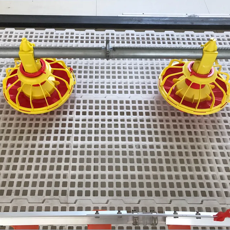 Feeding line and Drinking line for broiler chicken house equipment