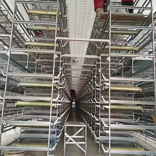 Layer Cage system for poultry farm