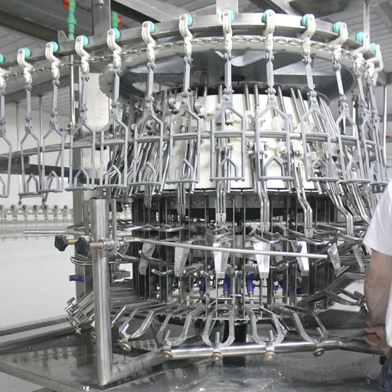 Auto eviscerator equipment for chicken slaughterhouse