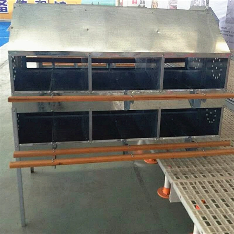 Galvanized steel  Material and 24holes egg nest box Capacity 120-168pcs hens