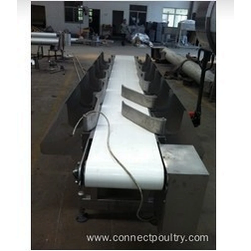 Weighing  & Grading system for poultry chicken processing line Abattoirs plant machinery