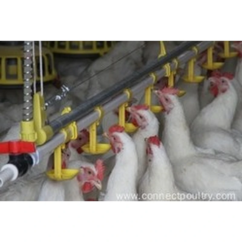 Poultry farm NIPPLE DRINKING SYSTEM