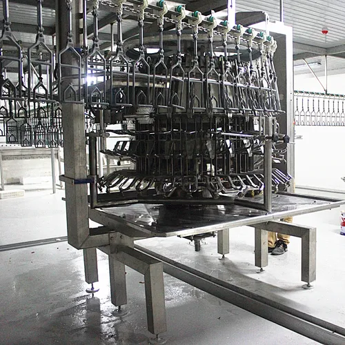 Poultry processing equipment manufacturers Automatic Evisceration machinery
