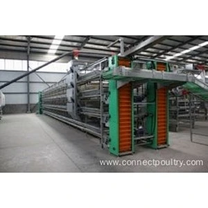 Layer Cage system for poultry farm