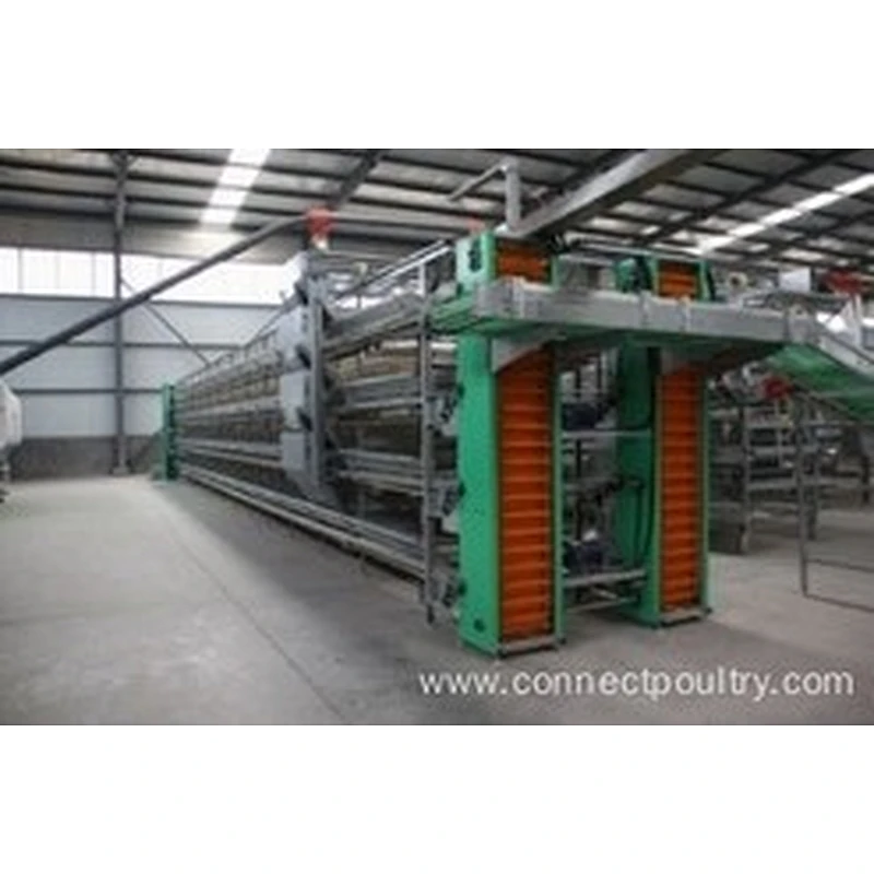 Layer Cage system for poultry farm