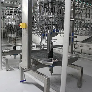 Poultry automatic evisceration processing machine Venter cutter  Opener Eviscerator Cropper