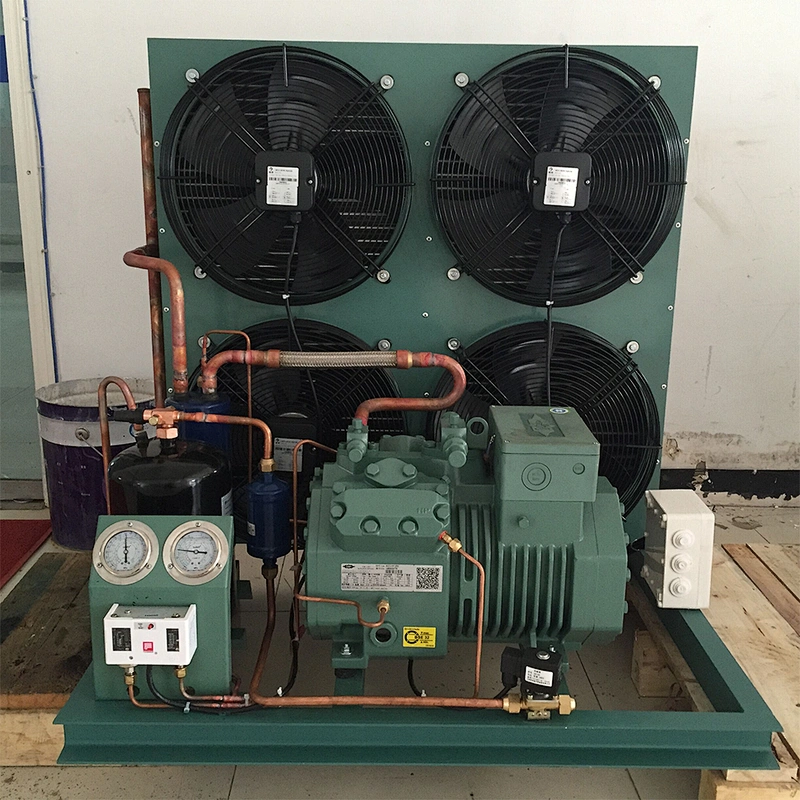 industrial Large capacity ice manufacturing plant large ice flaker producer refrigerator