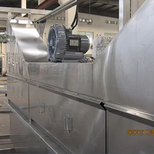 automatic poultry slaughterhouse frozen chicken meat processing scalder machinery
