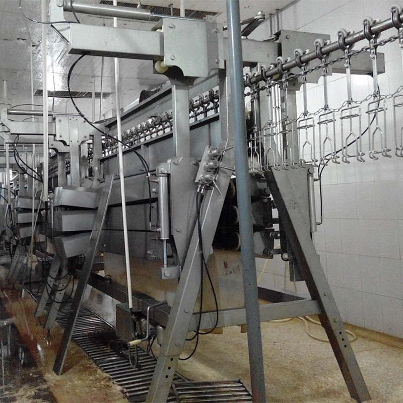 Poultry processing equipment