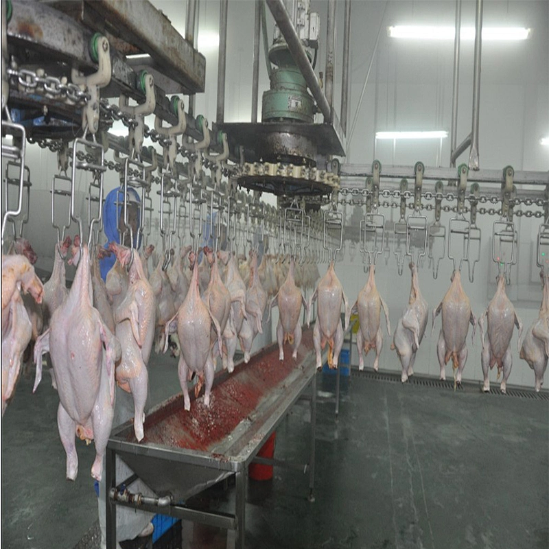 2019 new durable factory Price Stainless Steel High Quality chicken Slaughter House Line