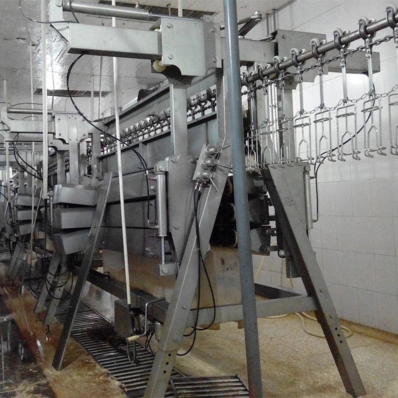 2019 high quality poultry farm broiler breeder house chicken abattoir machine