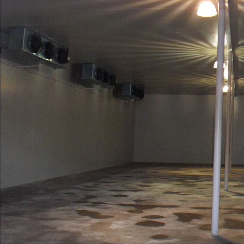 CE proved small mini frozen fish chicken pork duck meat cold storage room equipment