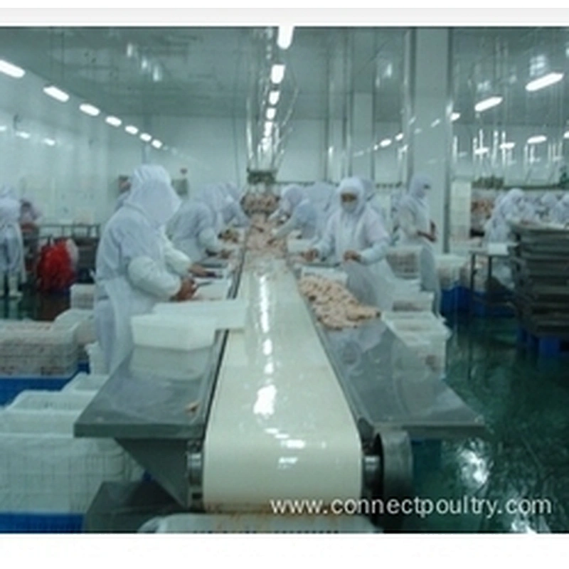 Belt conveyor system for poultry processing line