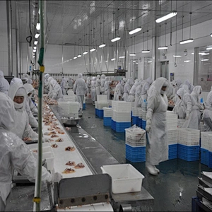 European standard new automatic poultry slaughtering packing area belt conveyor line