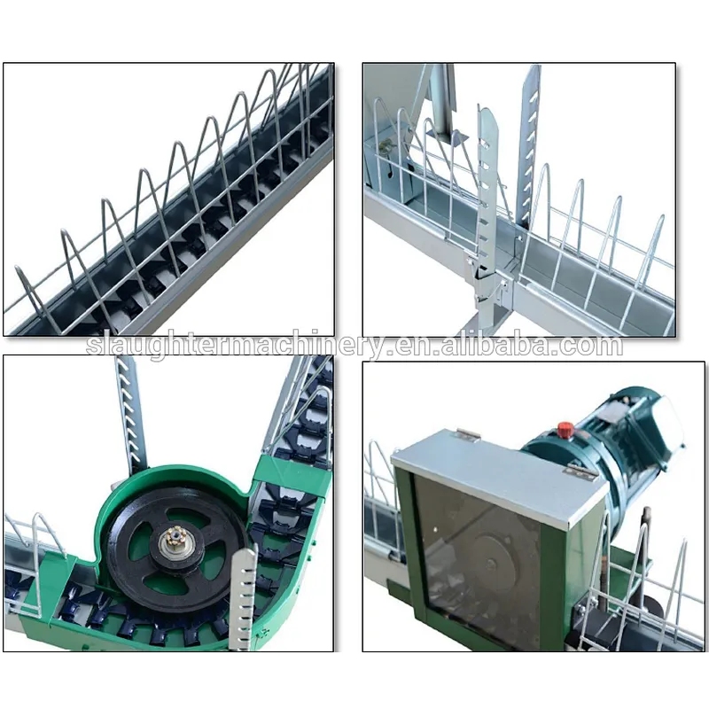 Breeder chain feeding System for poultry farming equipment
