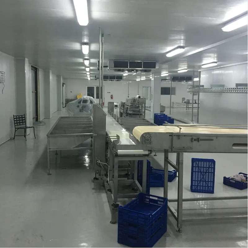 Weighing  & Grading system for poultry chicken processing line Abattoirs plant machinery