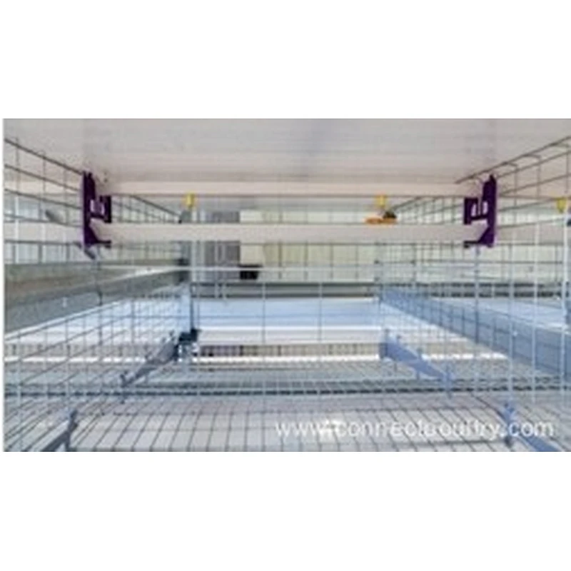 Hot Sale high quality one-stop service Automatic Feeding Egg Chicken Farm Layer Poultry Battery Cages for Farms