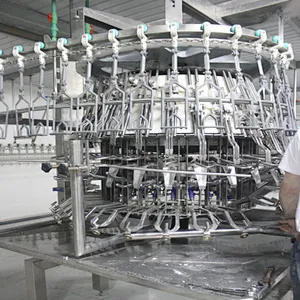 Poultry processing equipment manufacturers Automatic Evisceration machinery