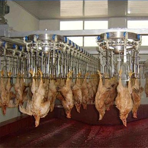 Overhead Conveyor Line equipment for broiler slaughter house