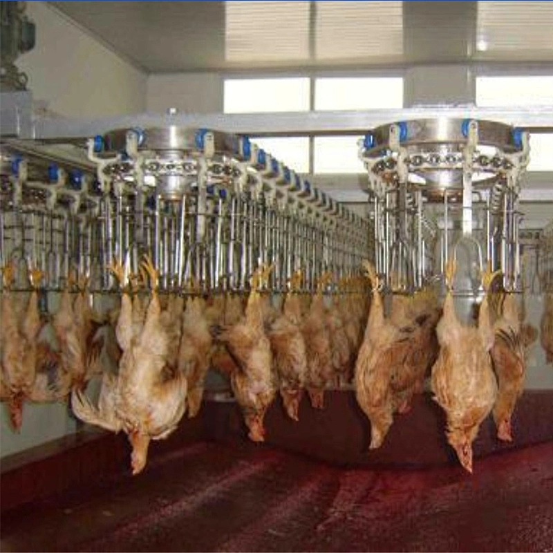 Overhead Conveyor Line equipment for broiler slaughter house