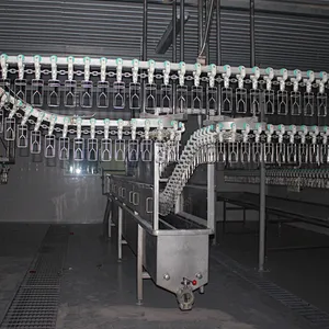 Overhead Conveyor system chicken slaughterhouse