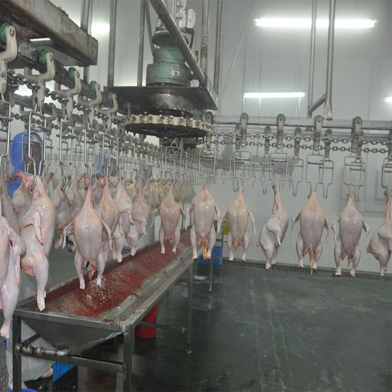 abattoir equipment spiral chiller