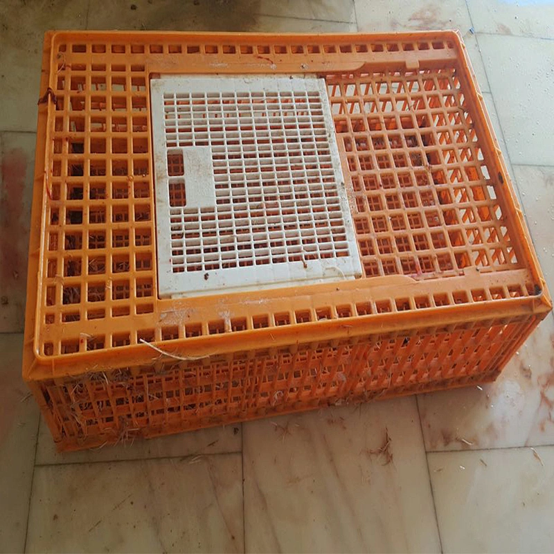 high quality Automatic poultry Slaughter house live birds crates for broiler farm use