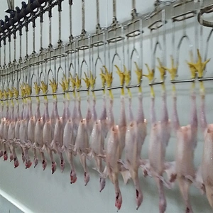 500BPH 1000BPH 3000BPH 6000BPH 12000BPH full automatic poultry halal slaughter house equipment for sale