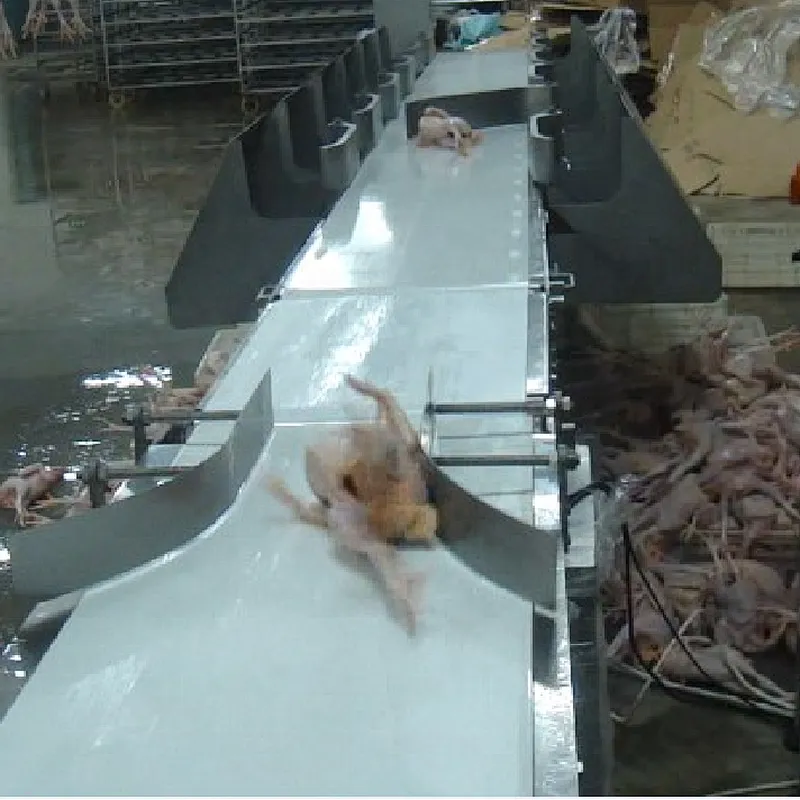 Weighing  & Grading system for poultry chicken processing line Abattoirs plant machinery