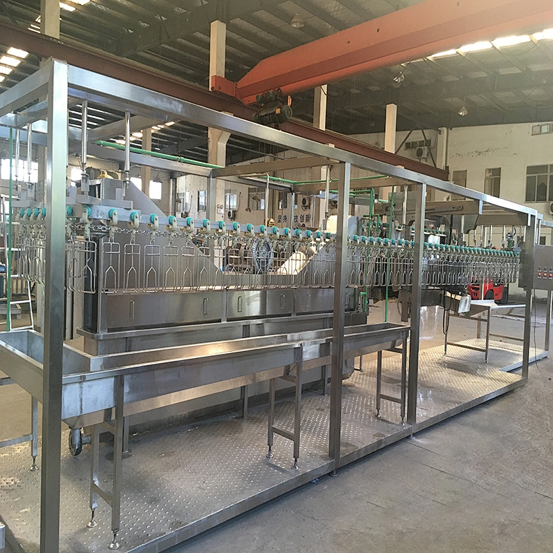 small capacity 200BPH compact chicken poultry butcher slaughterhouse machinery