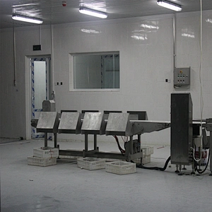 500BPH capacity China halal chicken slaughtering house plucking machine and poultry belt weight scale and grading equipment