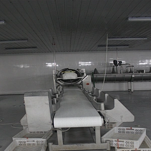 European standard new automatic poultry slaughtering belt weighing and grading machine