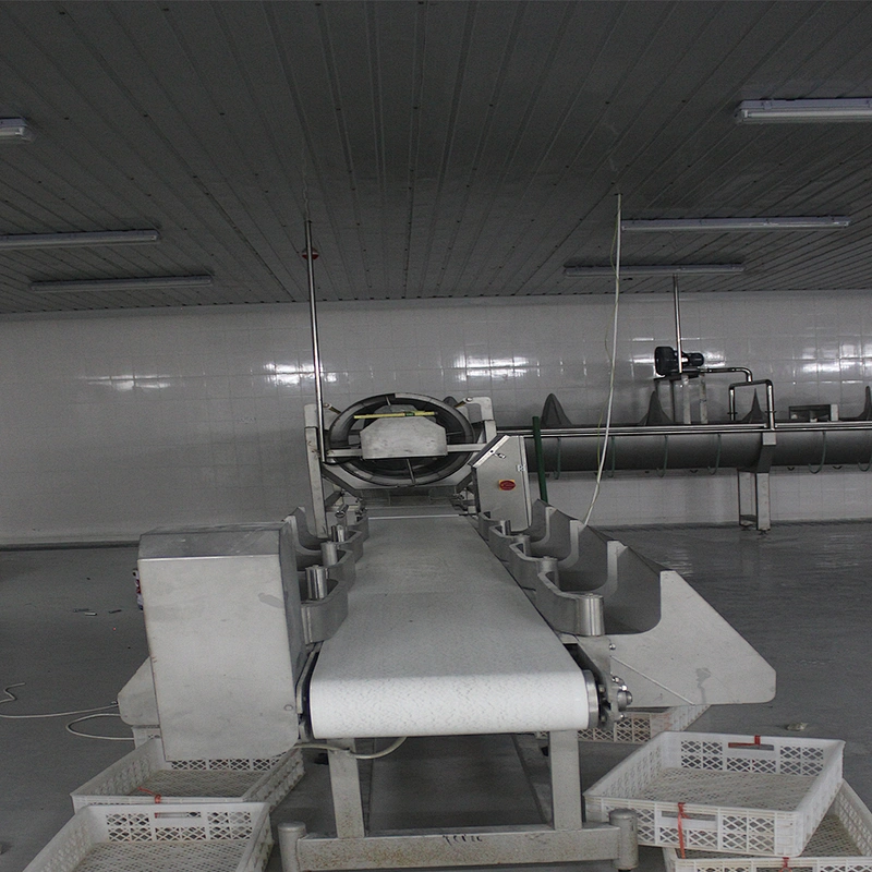 European standard new automatic poultry slaughtering belt weighing and grading machine