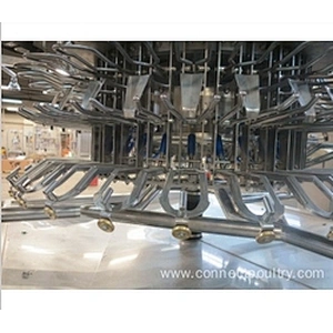 Auto eviscerator equipment for chicken slaughterhouse
